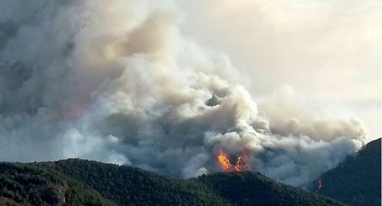 Šume u gorsko-planinskim područjima nestaju alarmantnom brzinom