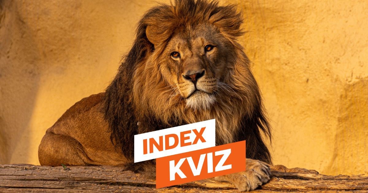 INDEX KVIZ Testirajte znanje za kraj tjedna uz ovih 15 pitanja