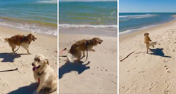 Psa s teškoćama doveli su prvi put na plažu i nije mogao sakriti uzbuđenje