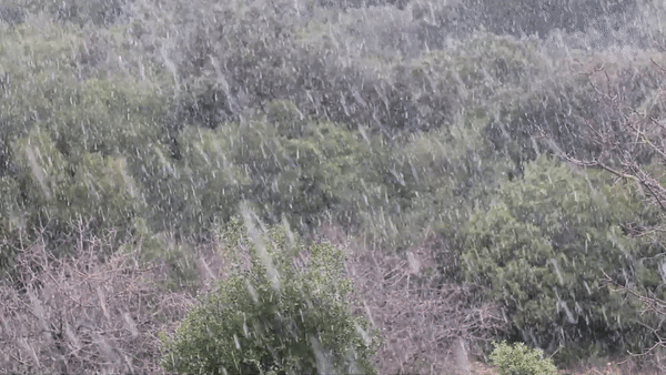 VIDEO Ovako je snijeg padao na Pelješcu. Ima ga diljem Dalmacije, i na otocima
