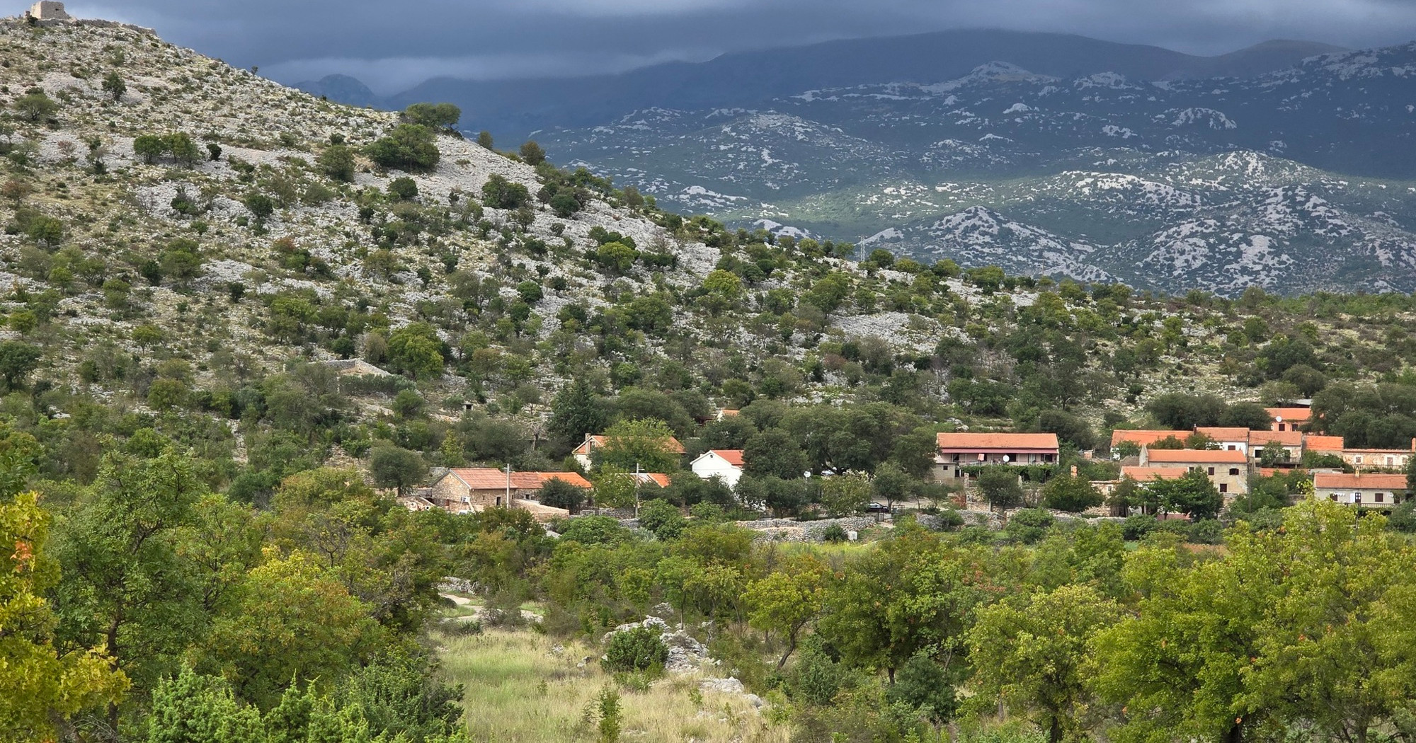 Priča o konobi u zadarskom zaleđu je klasična priča o sukobu generacija?