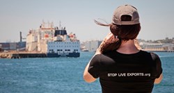 Kriza u Crvenom moru utječe na više od pola britanskih izvoznika