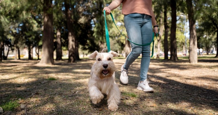 Veterinarka otkriva koliko puta dnevno zapravo treba šetati psa