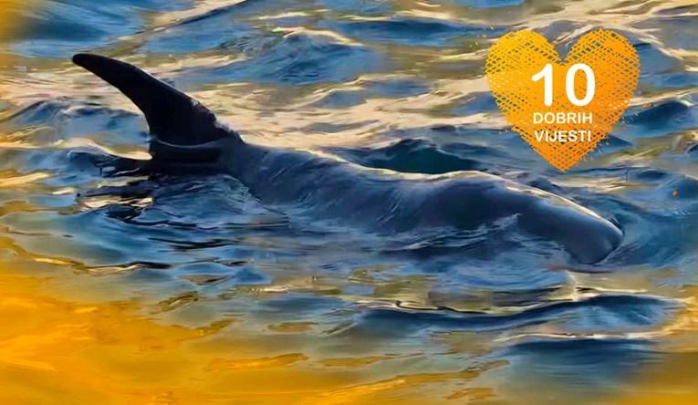 10 dobrih vijesti tjedna