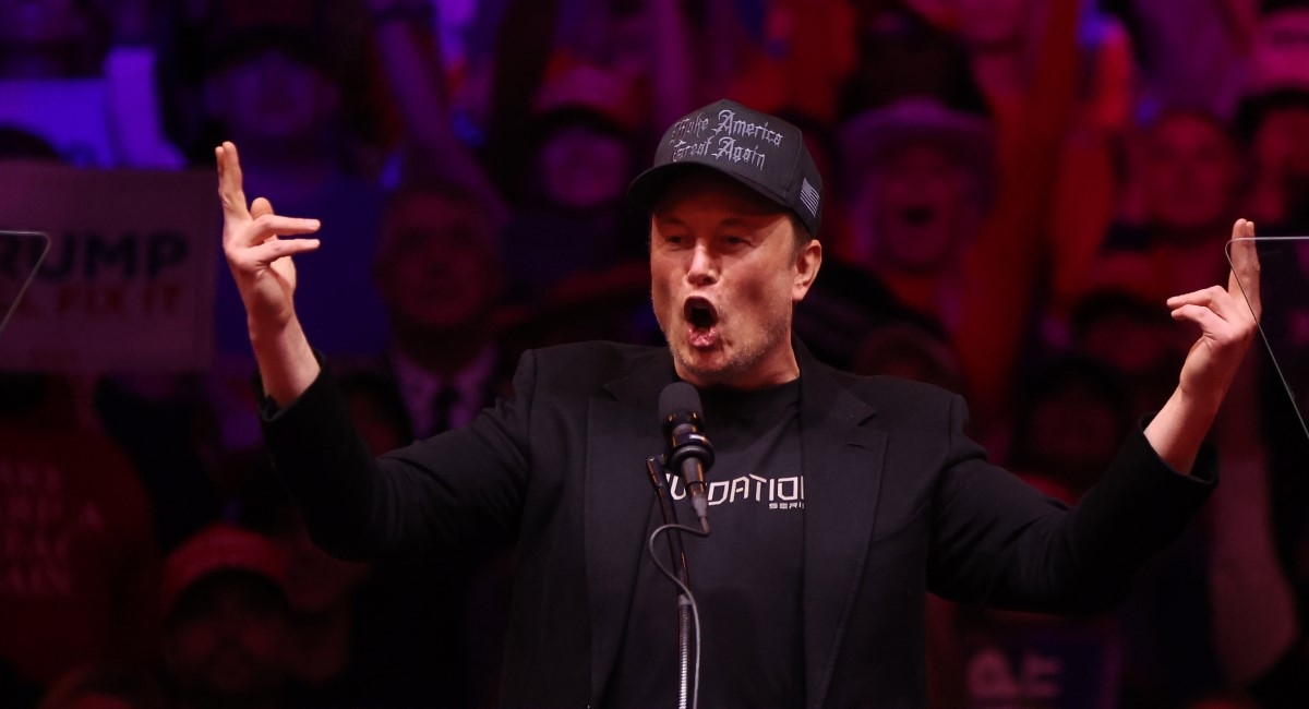 Elon Musk podržao AfD u njemačkim novinama