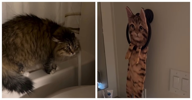 Vlasnica kupila novi ručnik, reakcija njezinog mačka podijelila je ljude