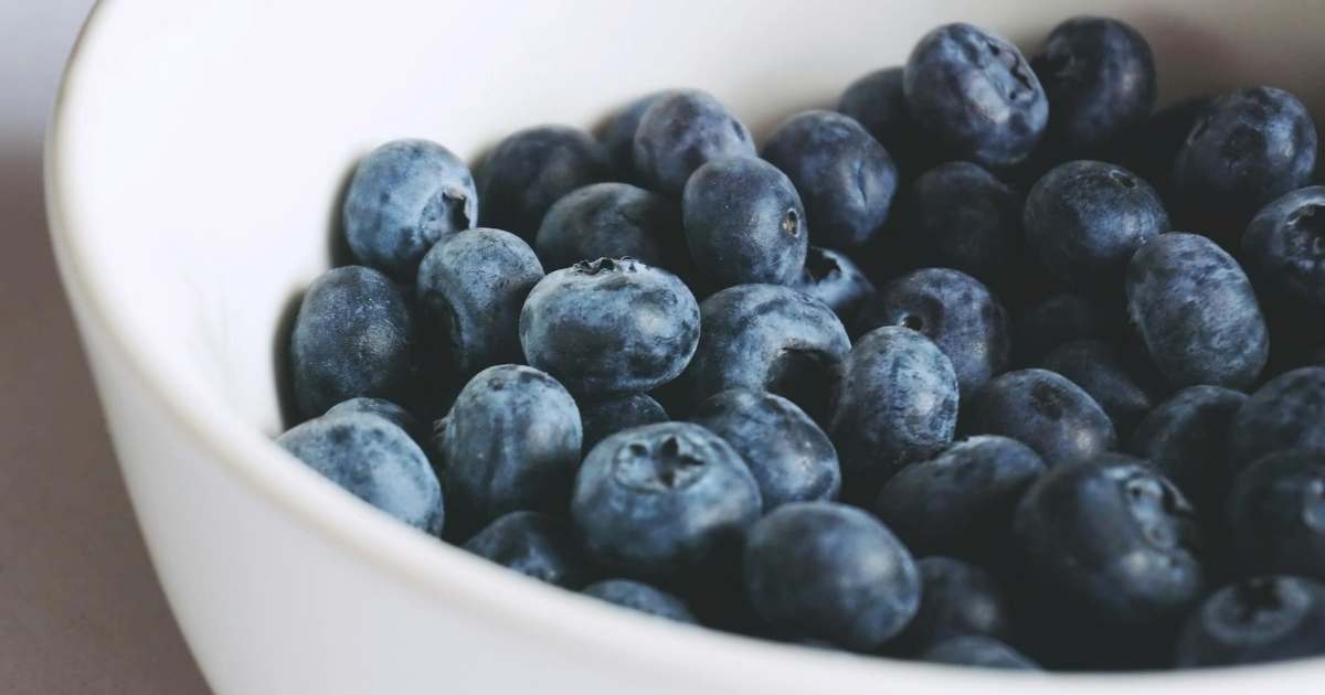 Kako borovnice utječu na zdravlje probave, mozga i srca