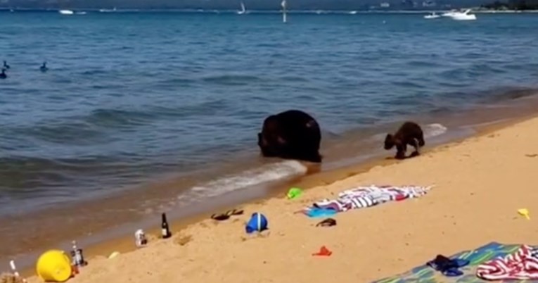 Mama se s medvjedićem došla osvježiti u jezeru, kupači nisu mogli vjerovati što vide