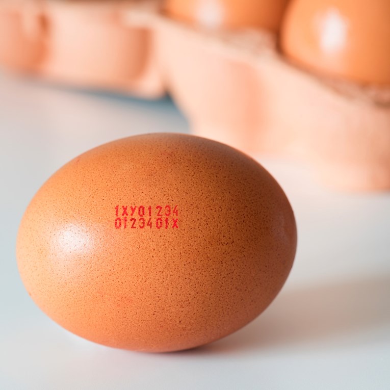 Znate one kodove štampane na jajima? Evo što točno znače, mnogi to ne znaju