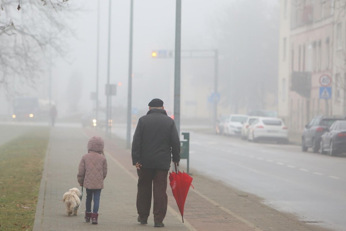 Smijemo li djecu izvoditi van kad je magla?