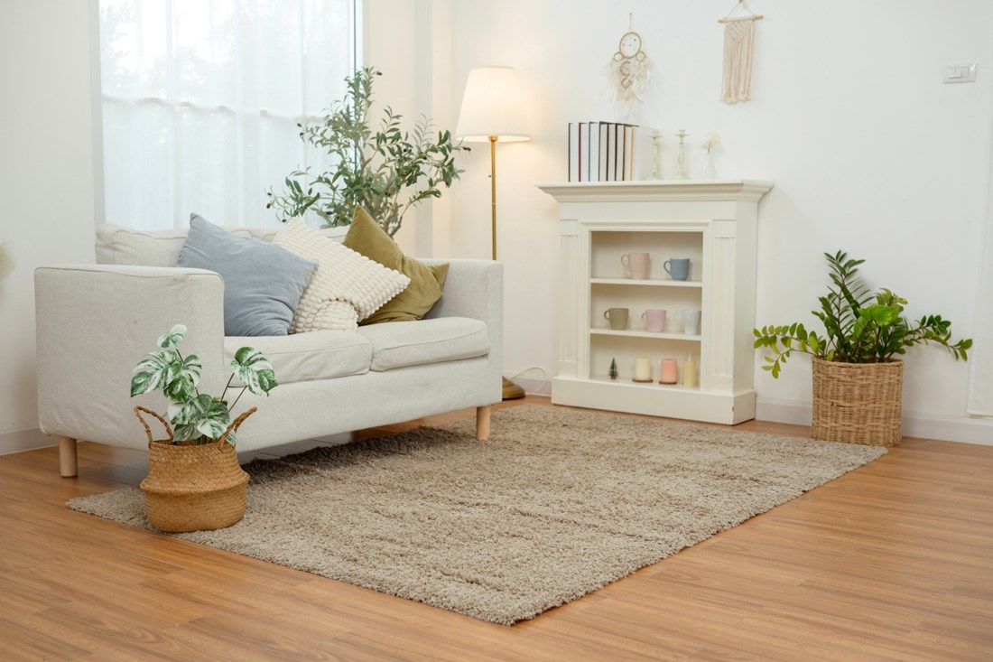 Ove stvari trebate kako bi vaš dnevni boravak bio ugodniji