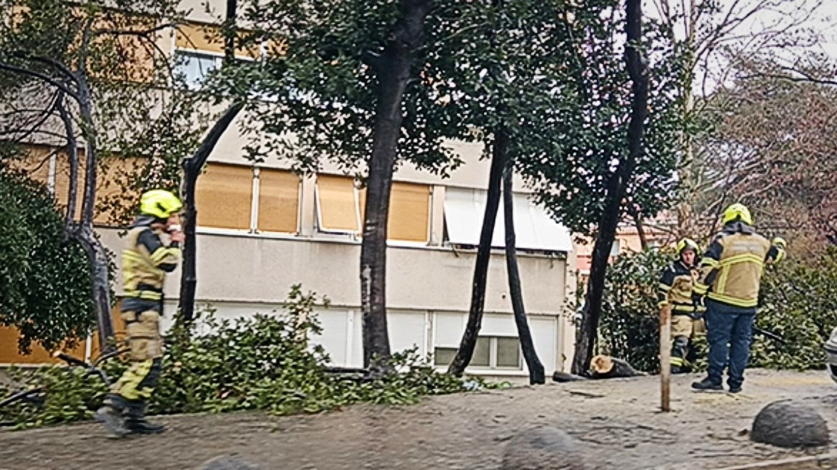 VIDEO Orkanski vjetar na splitskom području rušio stabla i rasvjetne stupove