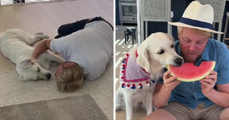 VIDEO Tata nije htio psa. Obitelj ga je ipak nabavila, a ovo su oni danas