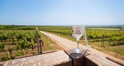 Šetnja 14 kilometara i kušanje vina: U Baranju se vraća poznata vinska manifestacija
