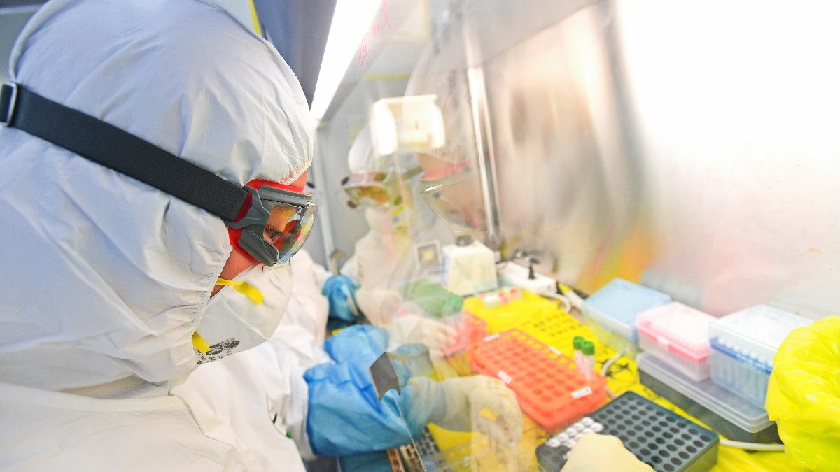 WHO: Virus je na ljude vjerojatno prešao sa šišmiša, ali preko neke životinje