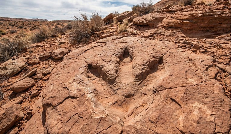 U Boliviji potvrđeno najveće nalazište tragova dinosaura na svijetu
