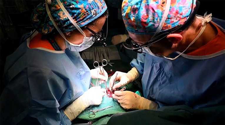 Čak 35% liječnika i 46% svih stomatologa u Švedskoj rođeno je u inozemstvu