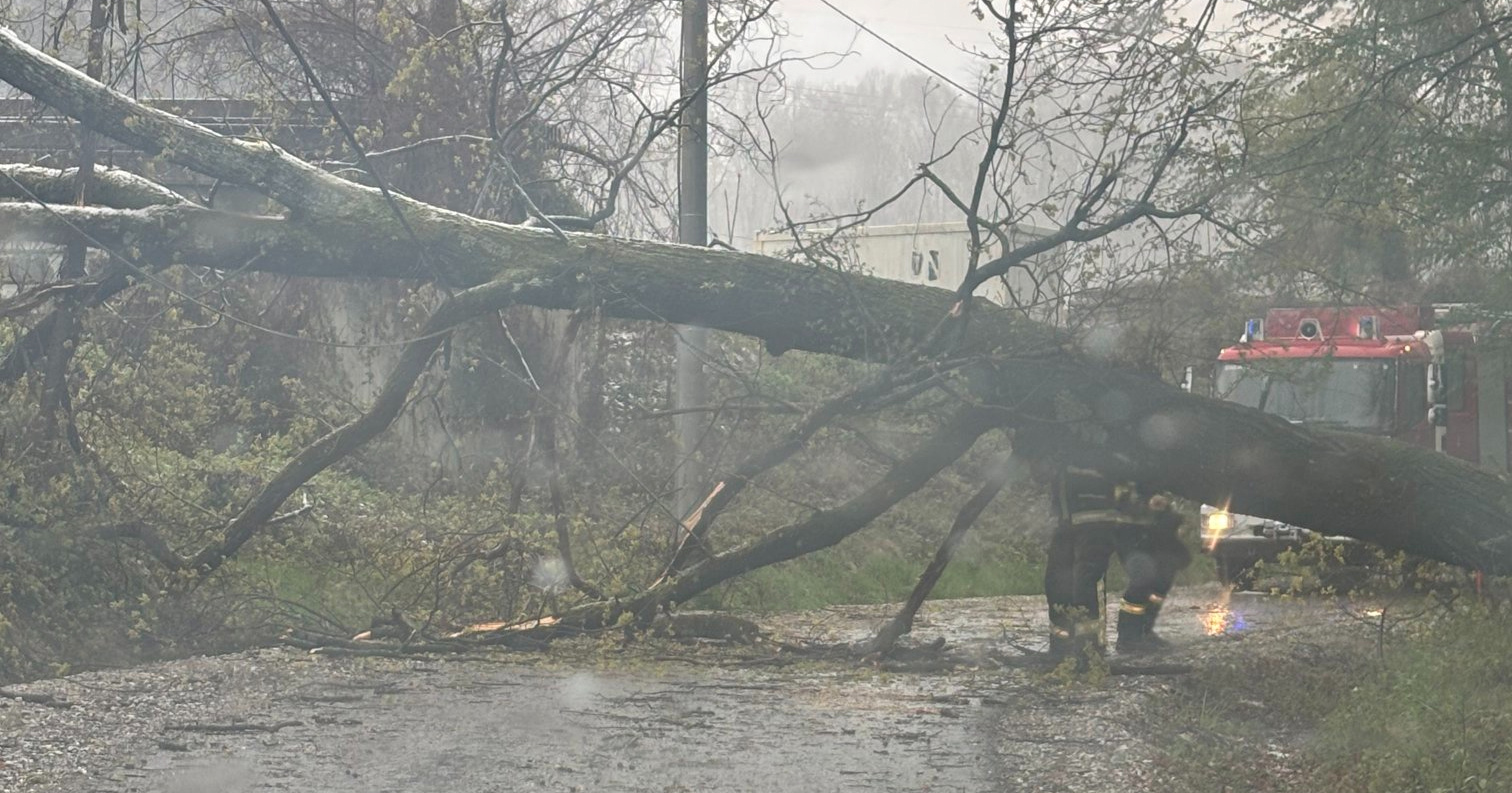 Nevrijeme u Karlovcu rušilo stabla, u Ogulinu problemi sa strujom zbog snijega