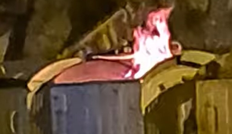 VIDEO U Splitu netko uporno pali kontejnere, sinoć ih zapaljeno više istovremeno