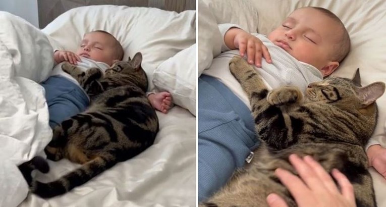 40 milijuna pregleda: Mačka se nije htjela odvojiti od usnule bebe, prizor topi srca