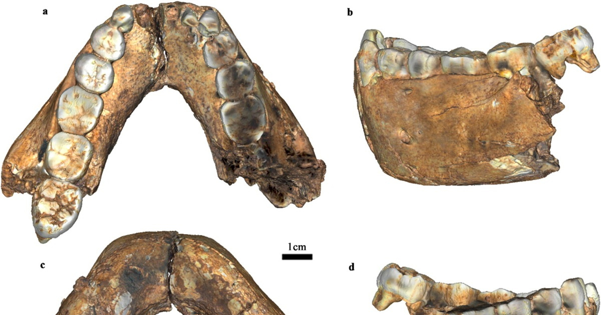 Homo erectus je 200.000 godina stariji nego što se mislilo