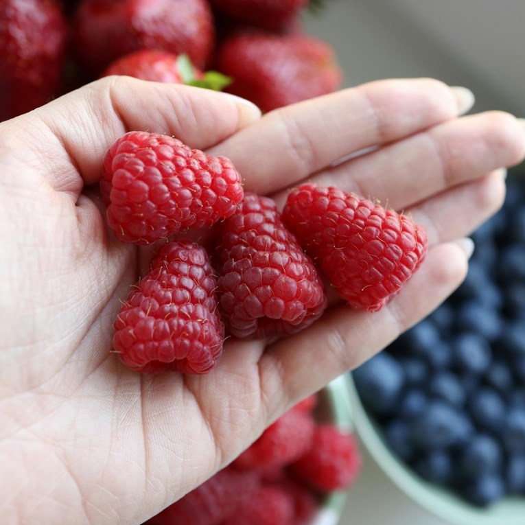 Pet ukusnih i zdravih namirnica koje usporavaju porast šećera u krvi
