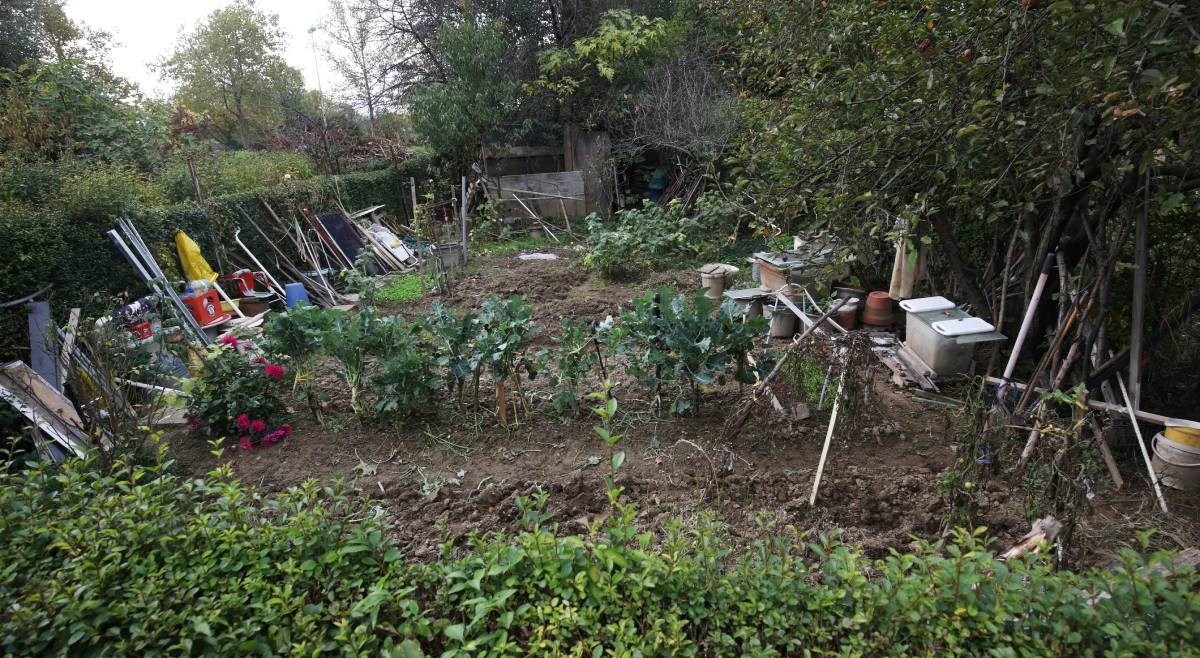 Znate li što je gerilsko vrtlarstvo? Ima ga i u Zagrebu