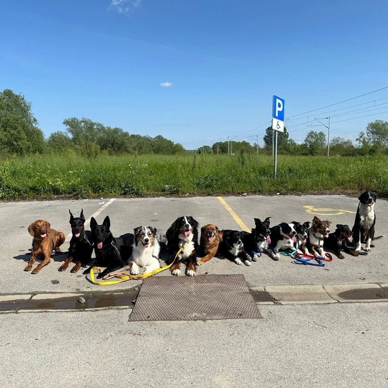 U zagrebačkom Bark Parku danas se održava Fešta ljudi i pasa. Tu su svi detalji