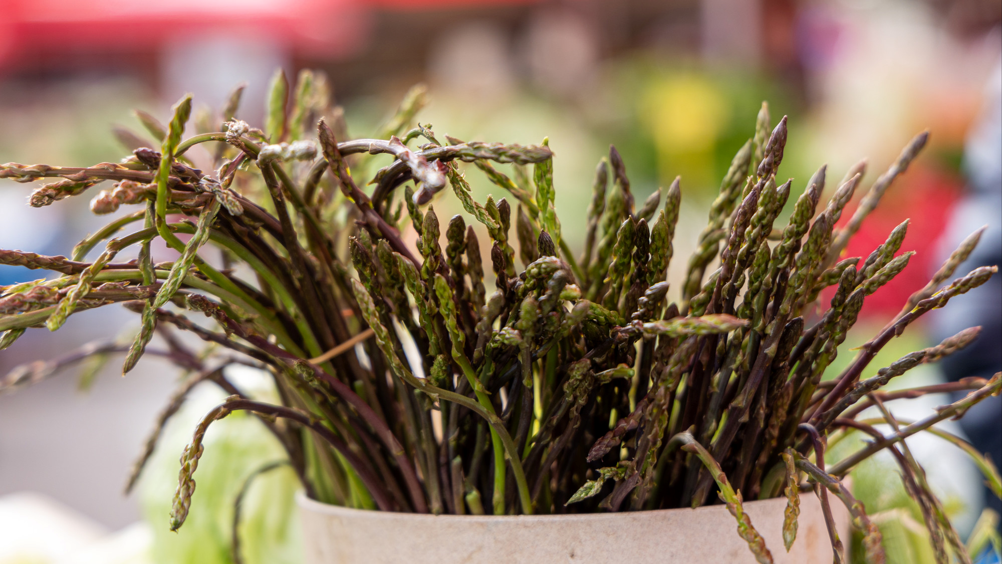 Zašto su šparoge tako skupe? Nije stvar samo u sezoni, nego u svemu iza njih