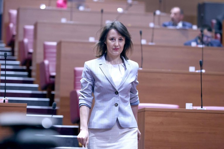 Orešković: Kolo nam vode oni koji su u pristojnija vremena bili na marginama
