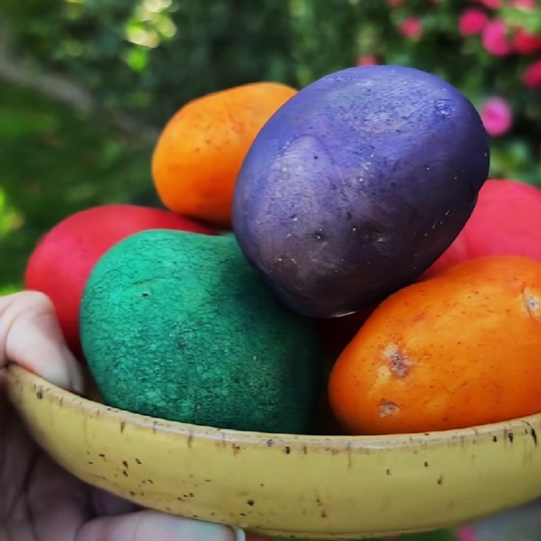 Hrpa ljudi na TikToku umjesto jaja za Uskrs boji krumpire. Evo zašto