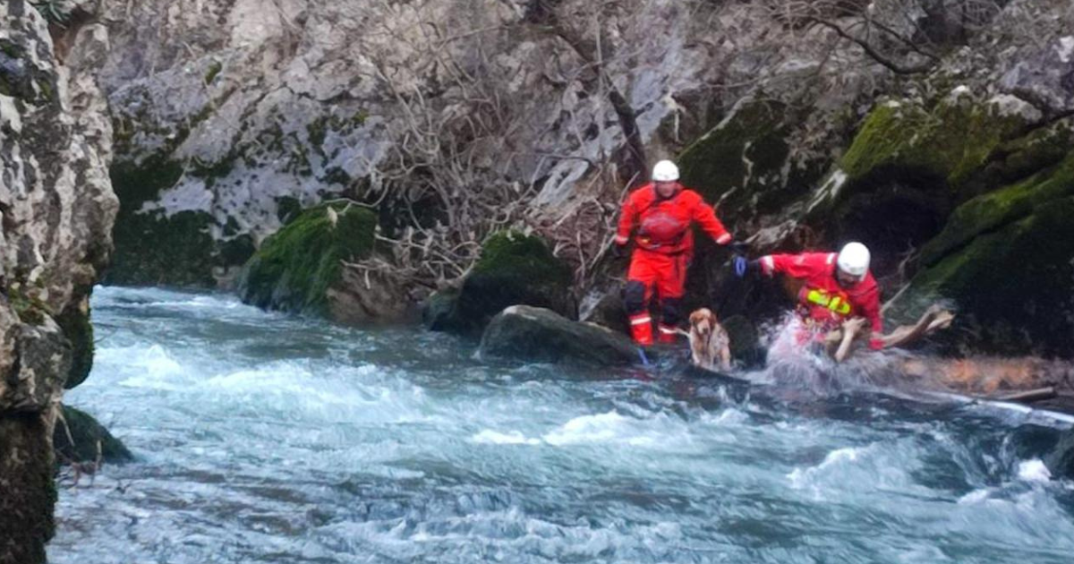 HGSS-ovci spasili iznemoglog psa iz kanjona rijeke Čikole