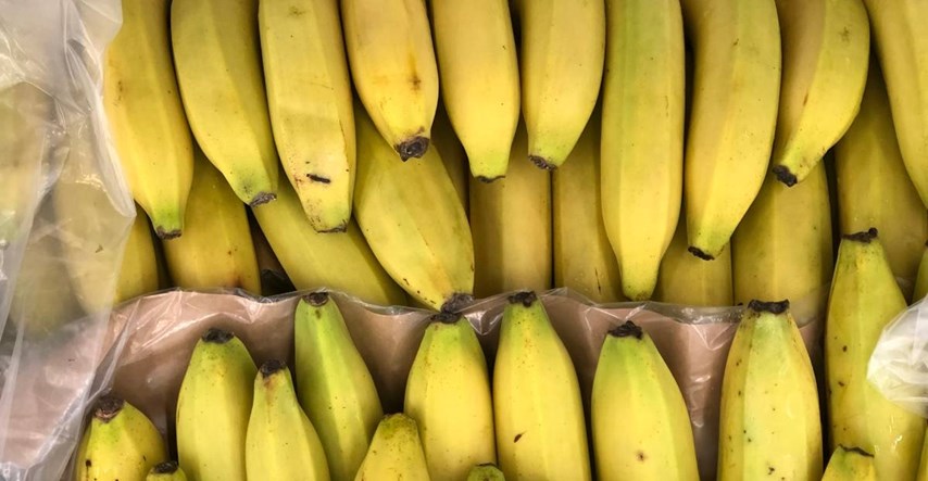 Nizozemska policija pronašla 7.7 tona kokaina, bili su skriveni u kamionu s bananama