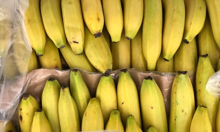 U Nizozemskoj prevozili 7.7 tona kokaina među bananama, uhvatila ih policija