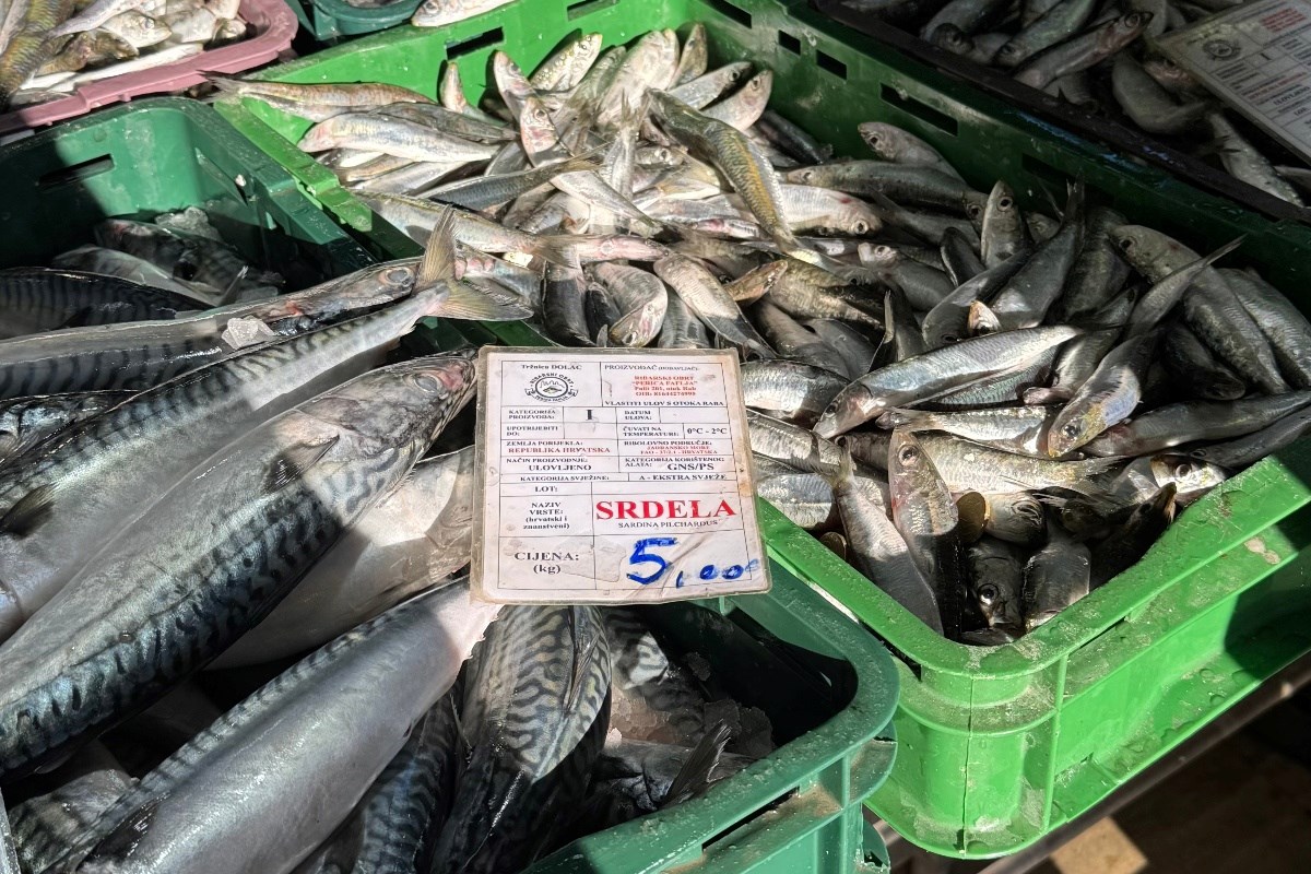 Bili smo na ribarnici na Dolcu: Ovo su ribe koje nutricionisti najviše preporučuju