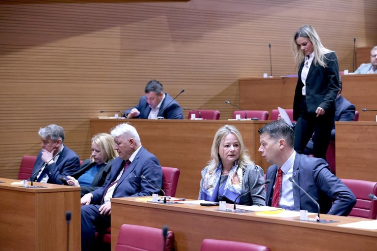 Saborska većina za uredbu koja sprječava prodaju proizvoda povezanih s krčenjem šuma