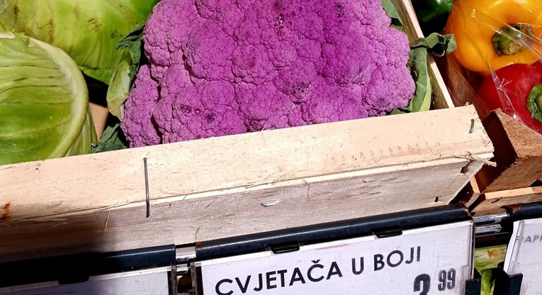 Jeste li vidjeli ovakvu cvjetaču u dućanima?