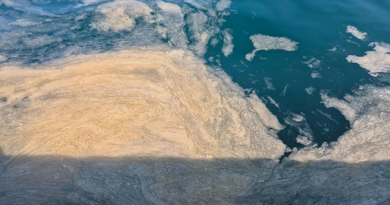 Jadran je 2024. prekrila "morska sluz". Znanstvenici s Ruđera objavili zašto