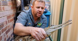 Krokodil pronađen u australskom dvorištu, 2500 kilometara od svog staništa