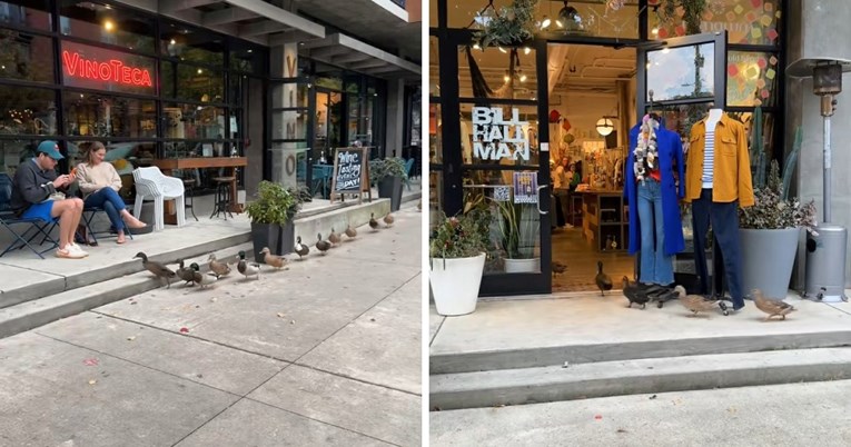 Jato pataka ušetalo je u trgovinu odjećom i oduševilo prolaznike