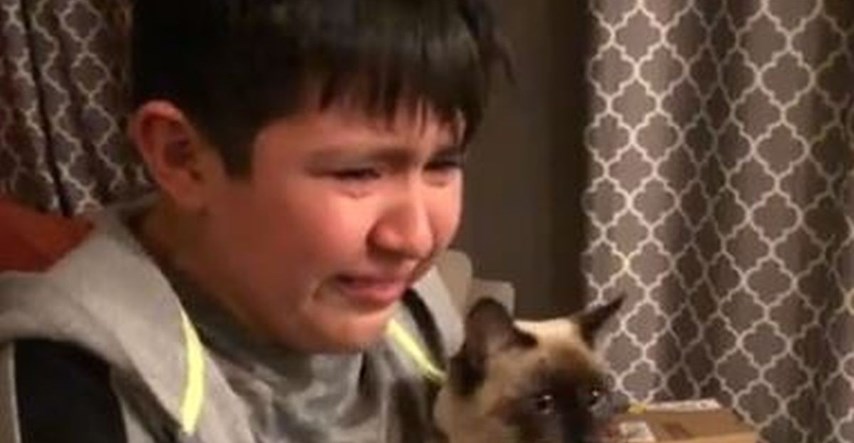 Dječak nije mogao suzdržati suze kada je nakon pet tjedana ugledao izgubljenog mačka