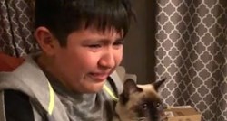 Dječak nije mogao suzdržati suze kada je nakon pet tjedana ugledao izgubljenog mačka