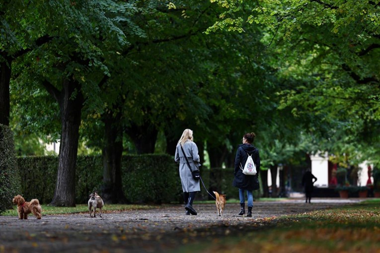 U Njemačkoj skoro polovica muškaraca i žena tijekom života oboli od raka