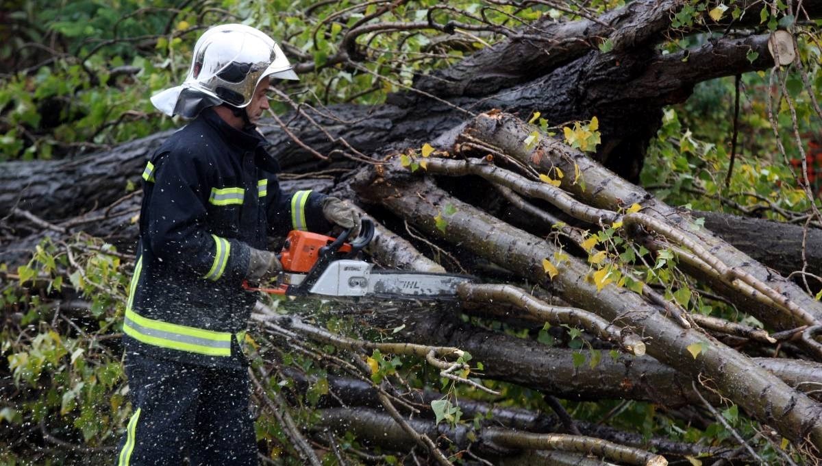 Olujni vjetar na osječkom području rušio stabla i telefonske stupove