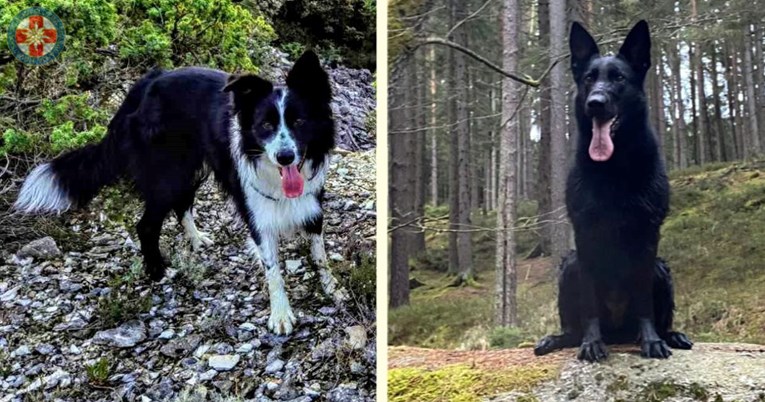 HGSS-ovi psi u jednoj večeri pronašli dvije osobe: "Tesli je ovo bila prva akcija"