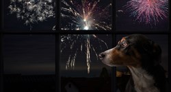 Umag u novu godinu ulazi uz bešumni vatromet: "Želimo smanjiti strah kod životinja"