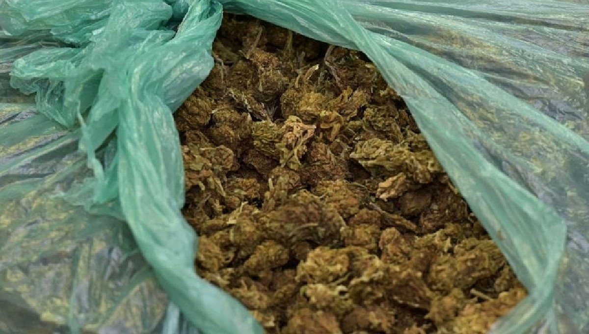 Dvojac u Slavoniji uzgajao travu u laboratorijima, kod jednog nađeno više od 10 kila