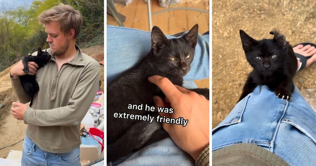 Justus Reid u Zagorju udomio mačku koja mu je došetala iz šume: "Neće nikad otići"