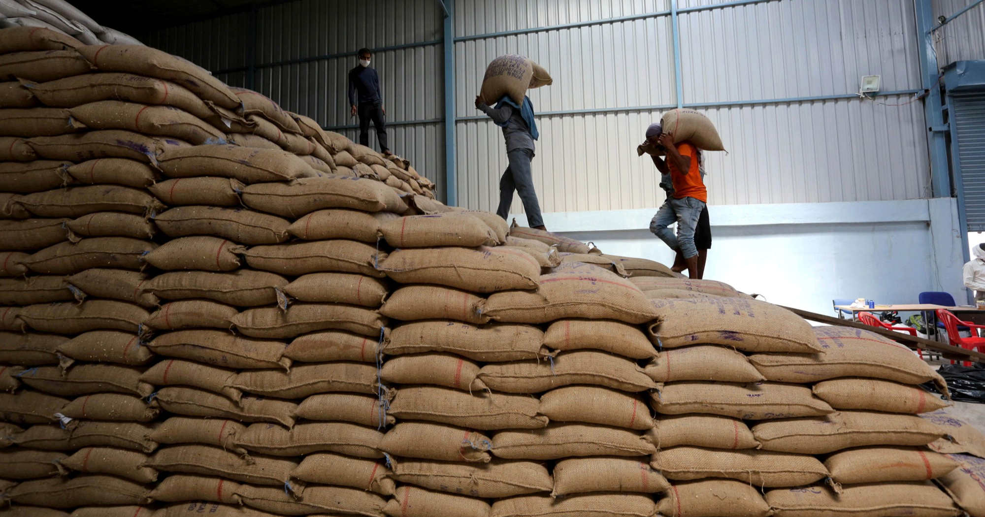 Indija odobrila izvoz 2.5 milijuna tona pšenice