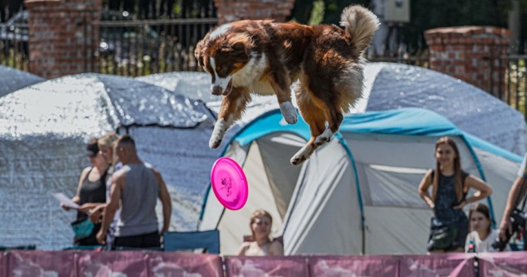 Dva vikenda, dva evente za "pasoljupce": Evo što nas čeka u Svetoj Nedelji i Samoboru